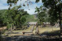 Vanuatu. Ein besonderer Höhepunkt ist der Besuch in den einheimischen Dörfern. Nur wenige Touristen finden den Weg hierher. Die gastfreundlichen Menschen leben von und mit der Natur.