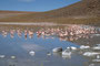 Bolivien. Das landschaftlich einmalige Lagunengebiet auf über 4.000 m Höhe. Die Laguna Kolpa. 