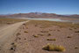 Bolivien. Das landschaftlich einmalige Lagunengebiet auf über 4.000 m Höhe. Die Laguna Morejon. 