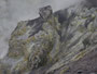 Papua Neuguinea. Provinz East New Britain. Der Vulkan Mt. Tavurvur begrub im Jahre 1994 die Stadt Rabaul unter seiner gewaltigen Aschewolke. Rabaul liegt seitdem unter einer meterhohen Ascheschicht. Heute befindet sich der Vulkan im Dornröschenschlaf.