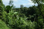 Vanuatu. Nach wenigen Kilometern ist die Piste zu Ende. Ab hier heißt es weiter auf Schusters Rappen. Dabei kann man die beeindruckende Natur am besten genießen.
