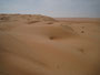 Oman. In der Sandwüste Wahiba Sands. Die feinsandigen Dünen der Wahiba Sands reichen von der Grenze zu Saudi-Arabien bis an den Indischen Ozean.
