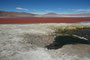 Bolivien. Die Laguna Colorada liegt auf 4.300 m Höhe und ist wegen der auffälligen roten Farbe einzigartig. Die Rotfärbung entsteht durch Mineralien und eine ganz besondere Algenart.