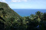 Karibikinsel Dominica. Im Inneren der Insel befinden sich noch riesige Gebiete tropischen Regenwaldes. Auf alten Schmugglerpfaden taucht man ein in die phantastische Natur.