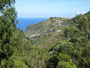 Madeira. Das immergrüne Wanderparadies.