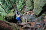 Karibikinsel Dominica. Durch dichte Tropenwälder und über gewaltige Felsvorsprünge führt die Wanderung zu den Middelham Falls. Für die 6 km muss man etwa 3 Stunden Gehzeit einplanen. 