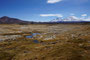Chile. Der Lauca Nationalpark begeistert mit seiner phantastischen Landschaft.