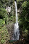 Karibikinsel Dominica. Die Middleham Falls zählen zu den schönsten Wasserfällen von Dominica. Wer möchte, kann im Wasserbecken ein erfrischendes Bad nehmen.