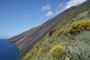 Süditalien. Insel Stromboli. An der Nordwestseite der Insel liegt die "Sciara del Fuoco", die Feuerrutsche, an deren oberem Ende sich die aktiven Krater befinden. Hier fließt die Lava des Stromboli manchmal bis hinunter ins Meer.
