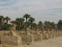 Ägypten. Luxor. Karnak ist die größte Tempelanlage Ägyptens.