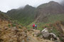 Karibikinsel Dominica. Eine der spannendsten Touren in der Karibik ist die Wanderung zum Boiling Lake. Für die ca. 13 km und 900 hm benötigt man etwa 6 Stunden. Dabei wird von steilen Abhängen bis zu vulkanischen Abgründen alles geboten. Perfekt. 