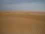 Oman. In der Sandwüste Wahiba Sands. Die feinsandigen Dünen der Wahiba Sands reichen von der Grenze zu Saudi-Arabien bis an den Indischen Ozean.