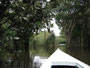Brasilien. Das Amazonasgebiet. Bootsexpedition auf dem Amazonas. Etwa 6.500 km fließt der Amazonas durch Südamerika.