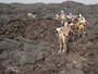 Expedition Danakil-Wüste. Trekking durch die Danakil-Wüste bei über 50°C im nicht vorhandenen Schatten. Die Überquerung des Lavafeldes des Erta Ale-Vulkans ist durch die scharfkantige heiße Lava besonders anstrengend und gefährlich.