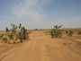 Mali. Sechs Stunden Jeepfahrt auf einer naturbelassenen Sandpiste von Douentza nach Timbuktu.