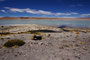 Bolivien. Das landschaftlich einmalige Lagunengebiet auf über 4.000 m Höhe. Die Laguna Polkes. 