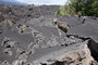 Süditalien. Sizilien. Der Ätna ist mit einer Höhe von ca. 3.350 m Europas mächtigster Vulkan. Das Valle del Bove ist eine gigantische Einsturzflanke am Südhang. Beim Überqueren des riesigen Lavafeldes ist man fasziniert von der Urgewalt der Natur.