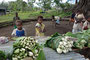 Vanuatu. An den Straßenständen kann man günstig erntefrisches Obst und Gemüse kaufen.