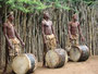 Südafrika. Zu Besuch beim Zulu-Stamm. Die Zulus sind der mächtigste Stamm in Südafrika. Zulu ist neben Englisch die am weitesten verbreitete Sprache.