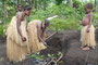 Vanuatu. In den entlegenen Dörfern leben die Menschen noch ganz traditionell. Hier wird das Nationalgericht Laplap hergestellt. Laplap ist ein Brei aus Yams-oder Tarowurzeln, vermischt mit Kokosfleisch.
