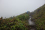 Karibikinsel Guadeloupe. Der absolute Höhepunkt ist die Wanderung auf den aktiven Vulkan La Soufrière. Er ist mit 1.456 m der höchste Berg von Guadeloupe. Bei strömenden Regen und Orkanböen ist der Aufstieg ein ganz besonderes Erlebnis.