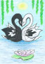 #525 Schwanenpaar