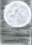 #543 Kalter Mond