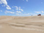 Pinamar