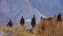 Cordillera