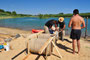 Construction lake - Coors beer