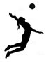 VOLEIBOL