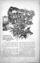 May 1934 Railroad Stories, page 5