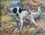 Small black and white dog