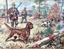 Quail hunting