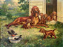 Mother dog with puppies