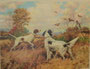 Field aristocrats