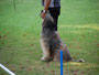 Donna - Rally Obedience 09.2012
