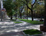 Apatin