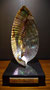 Dans une coquille d'haliotide, Trophée " le THELLOIS 2012"