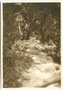 "Salvesenschlucht Tarrenz". Gelatinesilberabzug 6 x 9 cm; Privatphoto um 1925.  Inv.-Nr. vu609gs00028