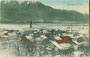 Kolsass mit Pfarrkirche Mariä Heimsuchung, Bezirk Innsbruck-Land, Tirol von Südwesten. Handkolorierter Lichtdruck 9 x 14 cm; Impressum: H. Hopfgartner, Photograph, Innsbruck um 1910.  Inv.-Nr. vu914fld00056