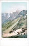 Pferdekutschen auf der Südrampe der Stilfserjochstraße in den Ortler-Alpen. Photochromdruck 9 x 14 cm ohne Impressum, um 1900.  Inv.-Nr. vu914pcd00039