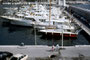 Im Yachthafen des Fürstentums Monaco. Farbdiapositiv 24 x 36 mm; © Johann G. Mairhofer 1977 (Privatarchiv).