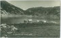 Almkühe beim Zireiner See im Rofan-Hauptkamm der westlichen Brandenberger Alpen (AVE 6) im Gemeindegebiet von Münster, Bzk. Kufstein. Gelatinesilberabzug 9 x 14 cm; Impressum: A(lfred). Stockhammer, Hall in Tirol 1909.  Inv.-Nr. vu914gs00796