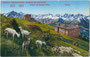 Stubaier Alpen von der Bergstation der Patscherkofelbahn aus. Photochromdruck 9 x 14 cm; Impressum: K(arl). Redlich, Innsbruck um 1930.  Inv.-Nr. vu914pcd00239