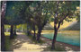 Baumgesäumte Strandpromenade beim Hotel "Fürstenhaus" in Pertisau, Gemeinde Eben, Bzk. Schwaz, Tirol von Süden. Photochromdruck 9 x 14 cm; Impressum: Robert Warger, Innsbruck 1910.  Inv.-Nr. vu914pcd00359