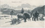 Holzbringung mit Ochsengespann vor Doppelschlitten in Tiers, Gbz. Bozen im Bzk. Bozen, Gefürst. Grafsch. Tirol (heute Bez.gem. Salten-Schlern, Autonome Provinz Südtirol). Lichtdruck 9 x 14 cm; Verlag A. Figl & Co., Bozen 1910.  Inv.-Nr. vu914ld00019