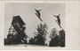 "Erinnerung an die 'Fis', Fedaratione Internationale de Ski, 6-13 Februar 1933. Doppelsprung der Br(üder). Ruuth. 74 m. (richtig: Ruud)", rücks. handschr. bez.  Gelatinesilberabzug 9 x 14 cm; Hugo Jäckl, Innsbruck.  Inv.-Nr. vu914gs00856
