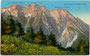 Der Bettelwurf der Gleirsch-Halltal-Kette im Karwendel (AVE 5) der Nördlichen Ostalpen. Photochromdruck 9 x 14 cm; Impressum: K(arl). Redlich, Landhausstr. (hte. Meraner Str.), Innsbruck 1912.  Inv.-Nr. vu914pcd00250