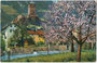 Klausen am Eisack mit Burg BRANZOLL zur Obstblüte. Photochromdruck 9x14cm; Initialisiertes Impressum "DL" um 1910.  Inv.-Nr. vu914pcd00208